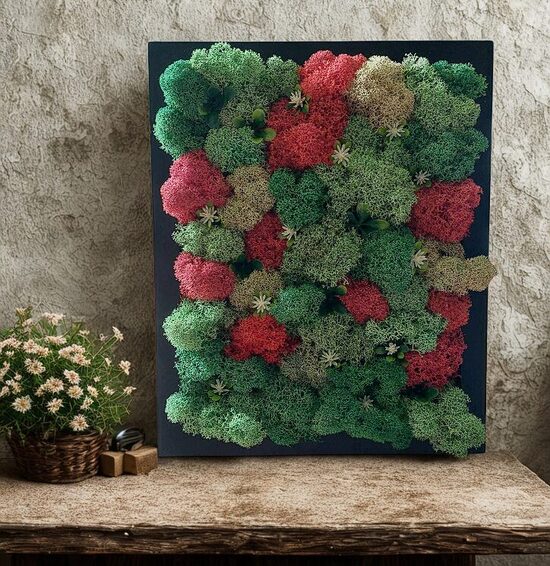 Stabilizuotų samanų paveikslas – Fėja